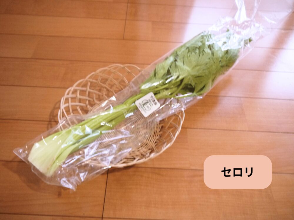 坂ノ途中 旬のお野菜セットMに入っていたセロリ