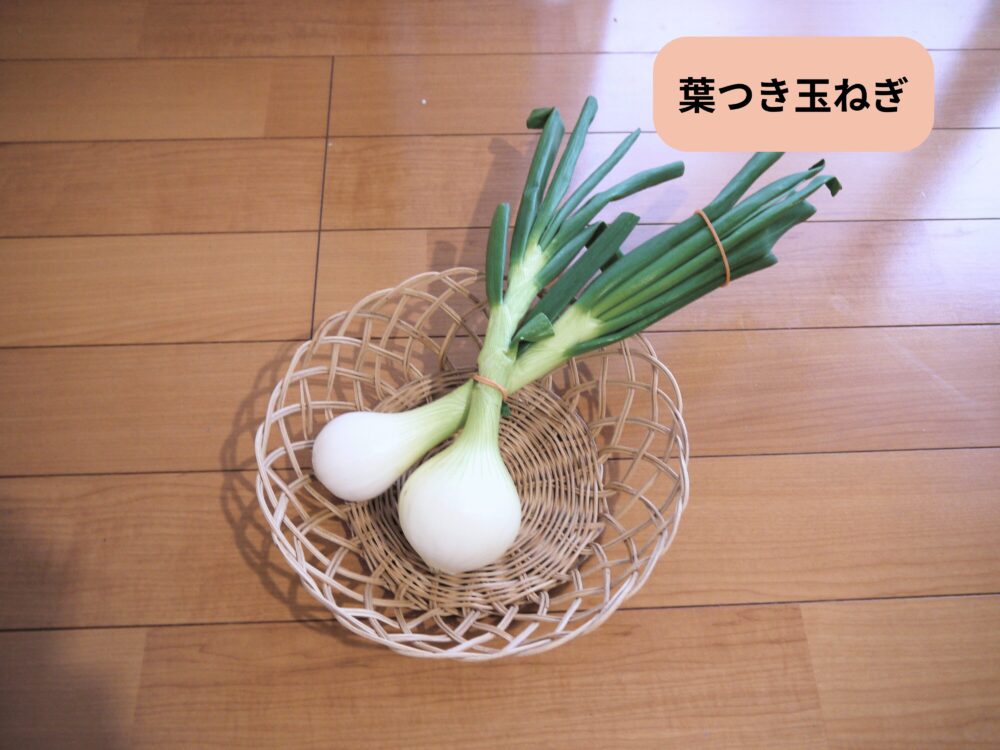 坂ノ途中 旬のお野菜セットMに入っていた葉つき玉ねぎ