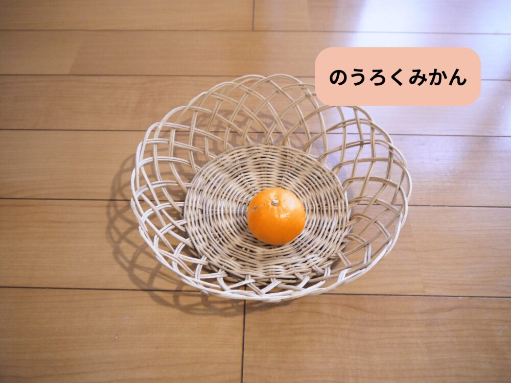 坂ノ途中 旬のお野菜セットMに入っていたのうろくみかん