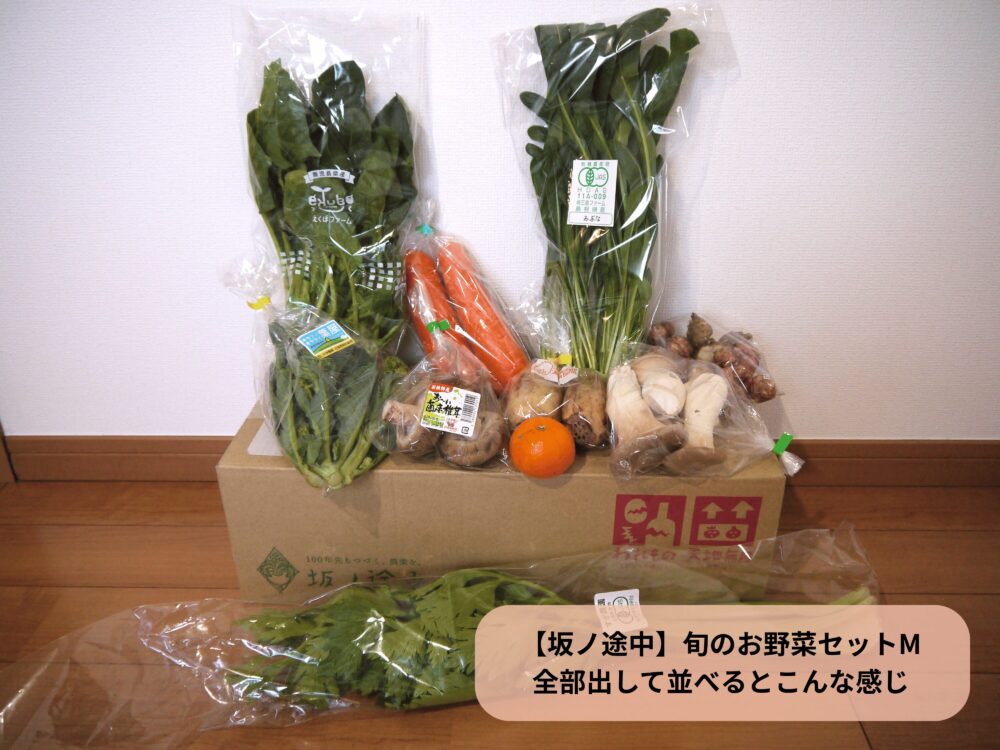 旬のお野菜セットMの中身