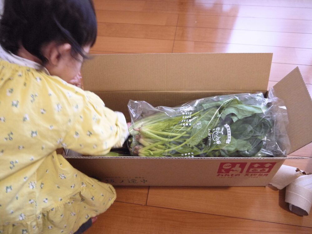 坂ノ途中の野菜宅配の段ボールを子供と一緒に開けている様子。