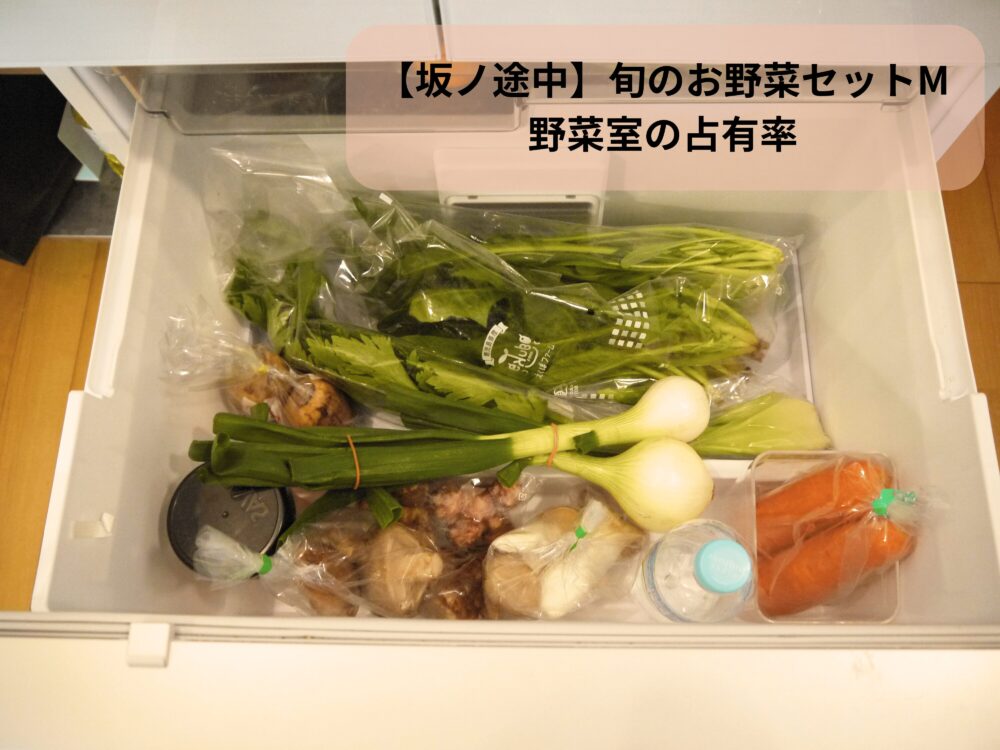 旬のお野菜セットMを野菜室に入れてみると、いつもの買い出しの量と同じくらい