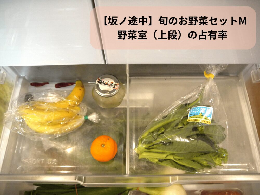 旬のお野菜セットM野菜室の占有率(上段)