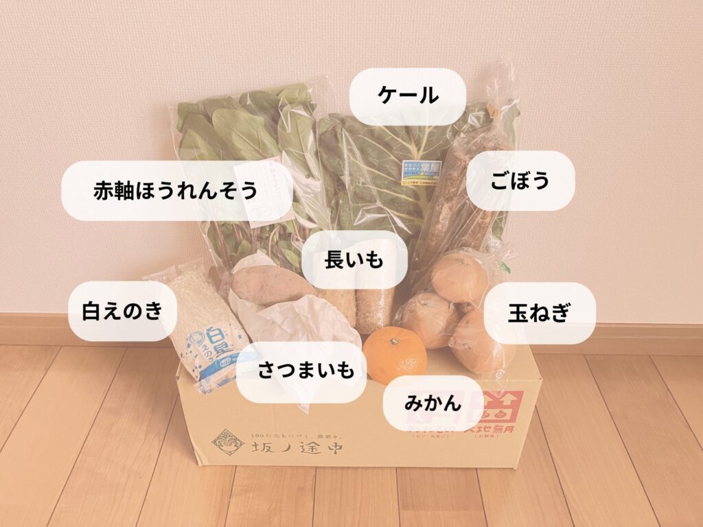坂ノ途中の旬のお野菜セットSの中身