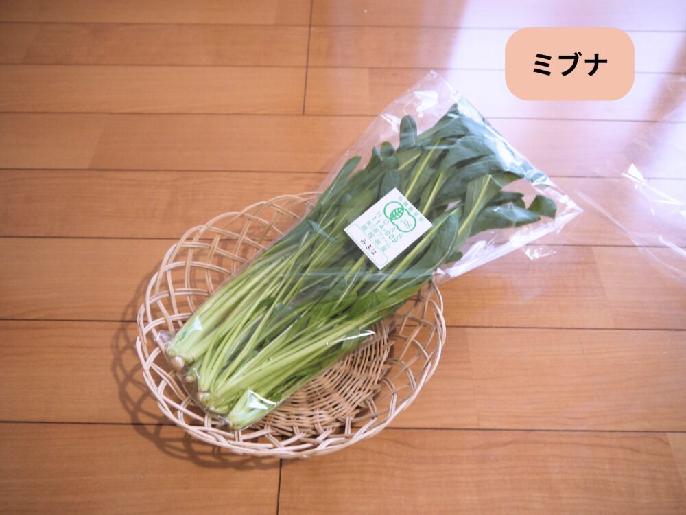 坂ノ途中 旬のお野菜セットMに入っていたミブナ
