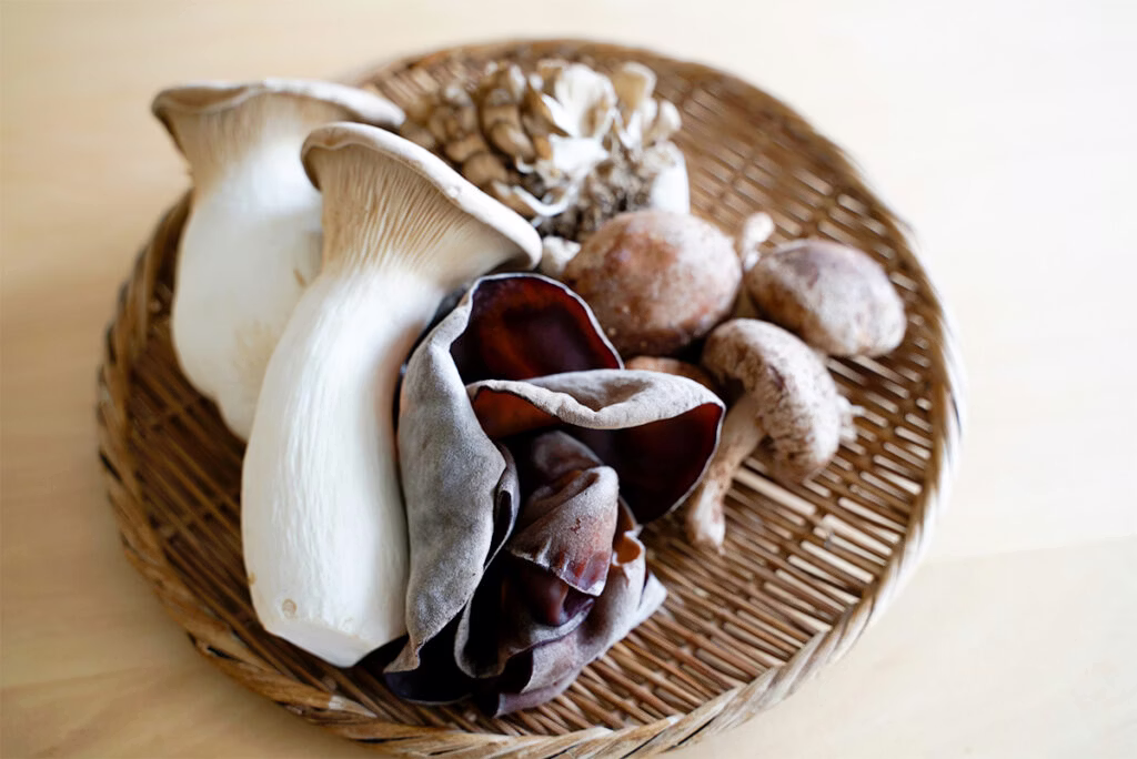 坂ノ途中のきのこおまかせセット4種