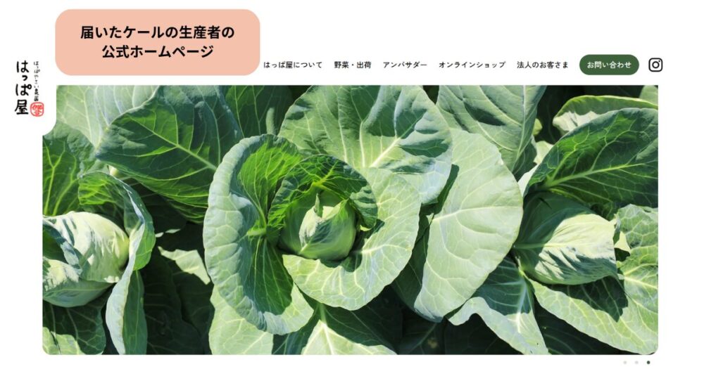 実際に届いたケールの生産者さんの公式ホームページ
