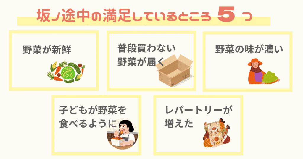 坂ノ途中の満足しているところ 野菜が新鮮・普段買わない野菜が届く・野菜の味が濃い