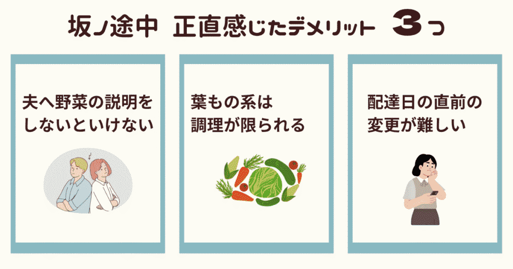坂ノ途中を使って正直感じた、デメリット3つ。夫へ野菜の説明をしないといけない。葉もの系は調理が限られる。配達日の直前の変更が難しい。