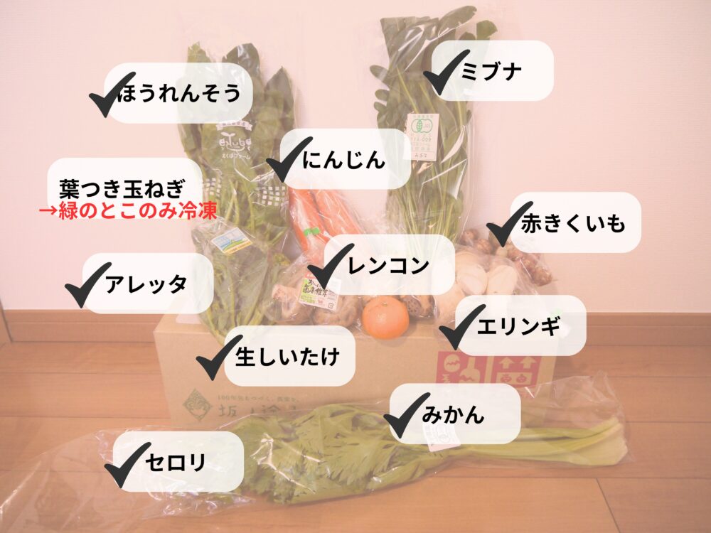 旬のお野菜セットMサイズを頼んで1週間使い切れたかチェック。11品中10品使い切れました。使い切れなかった葉つき玉ねぎの葉っぱのところは冷凍庫で保存して味噌汁に入れようと思います。