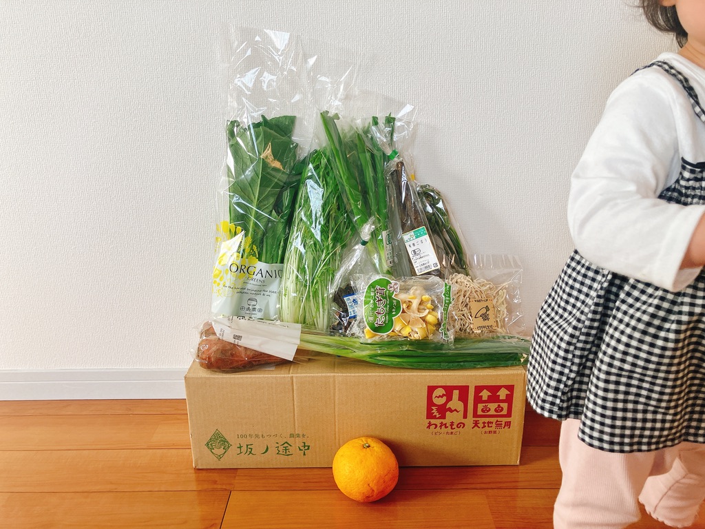 子どもと一緒に段ボールを開けています。