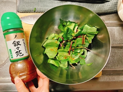 赤軸ほうれんそうにドレッシングをかけてサラダでいただく
