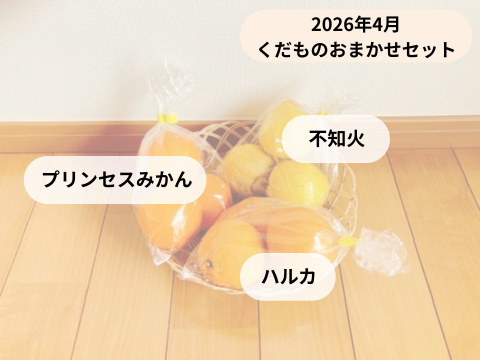 くだものおまかせセット プリンセスみかん、不知火、ハルカ