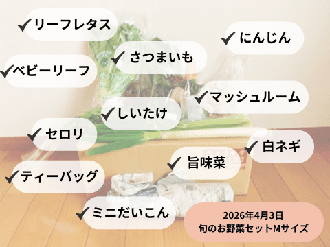 旬のお野菜セットMサイズは使い切れた?