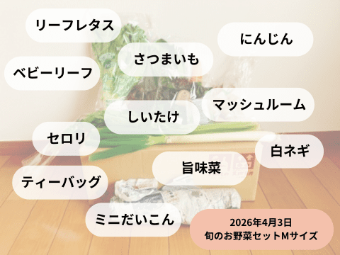 坂ノ途中「旬のお野菜セット」Mサイズの中身。