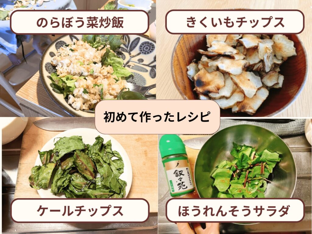初めて作ったレシピ。のらぼう菜炒飯、きくいもチップス、ケールチップス、ほうれんそうサラダ