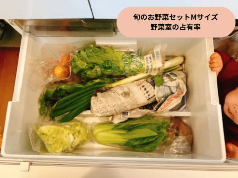 野菜セットを冷蔵庫に入れてみました