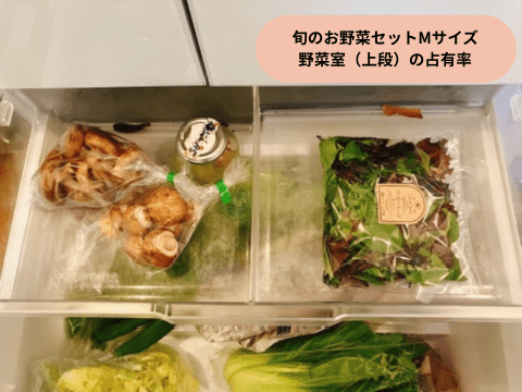 野菜セットを野菜室の上段に入れてみる