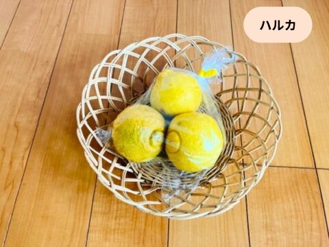 はるか