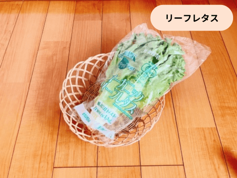 リーフレタス