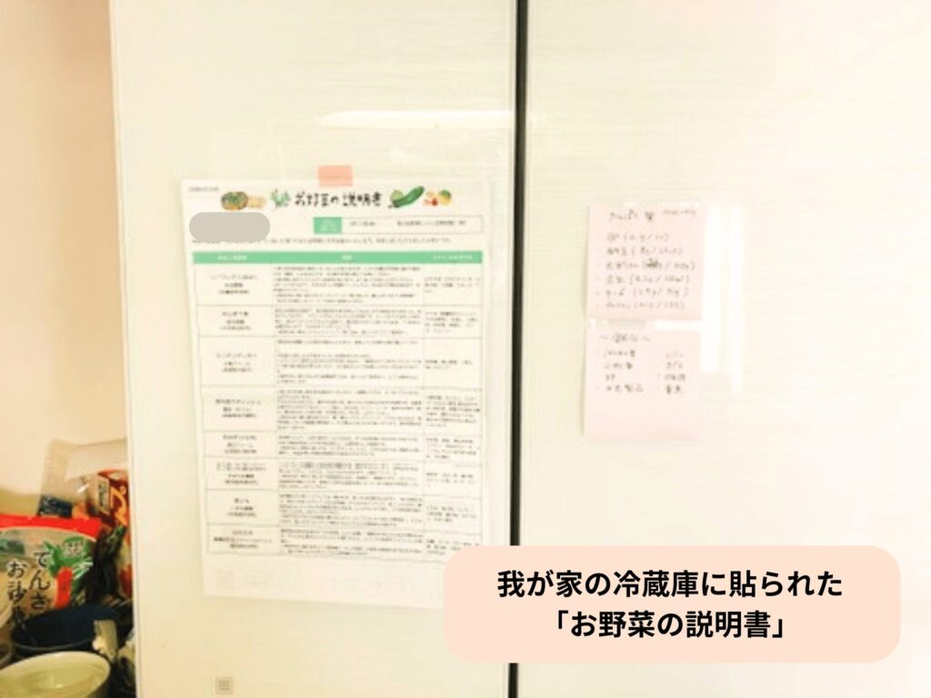 我が家の冷蔵庫には「お野菜の説明書」が貼られています