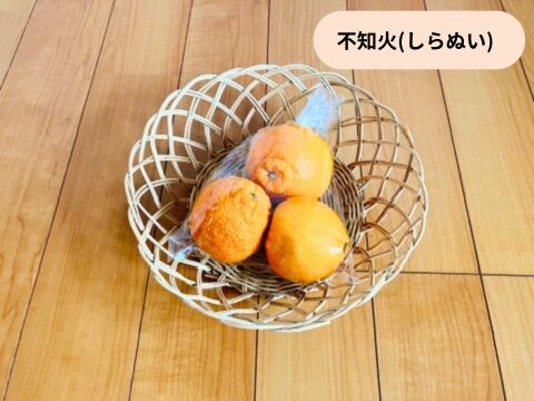 不知火 しらぬい