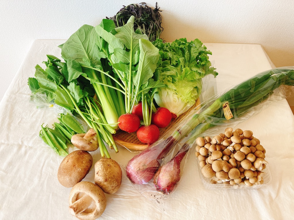 坂ノ途中5月に届いた旬のお野菜セットの中身