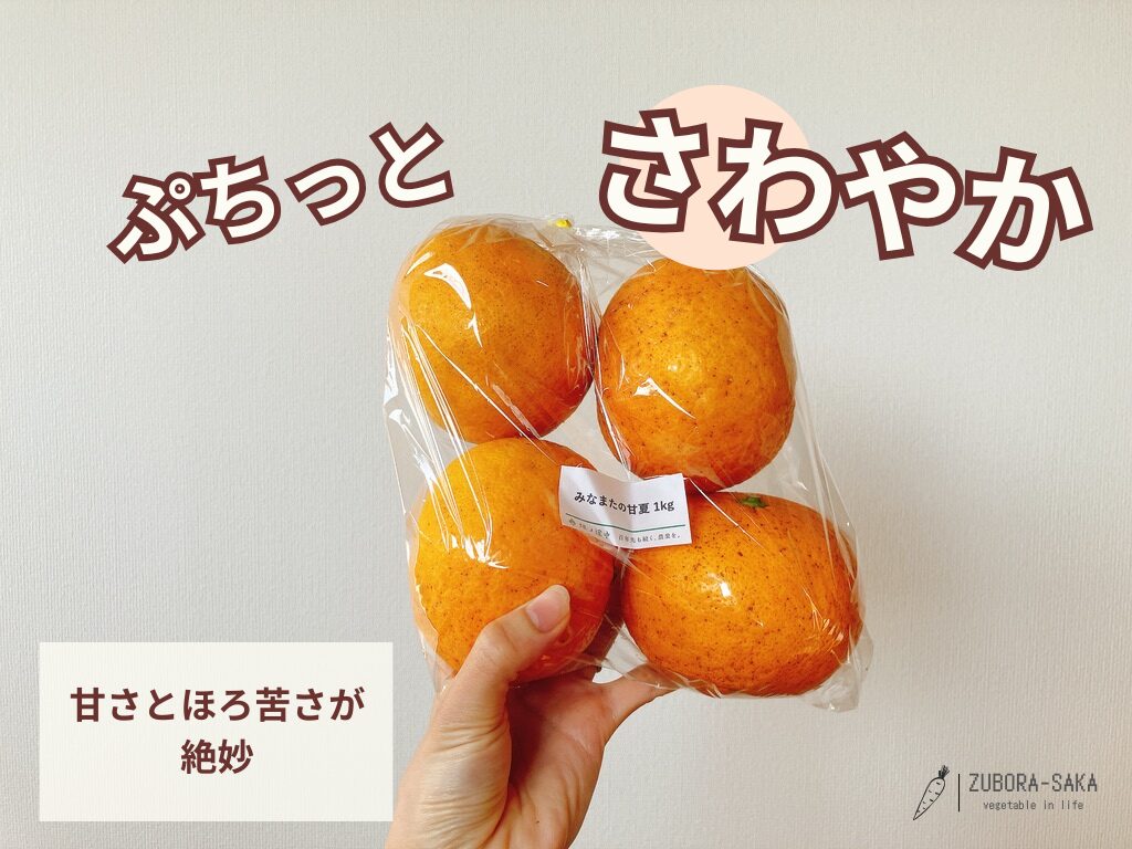 坂ノ途中のくだものおまかせセットで届いた甘夏。ぷちっとさわやかで甘さとほろ苦さが絶妙