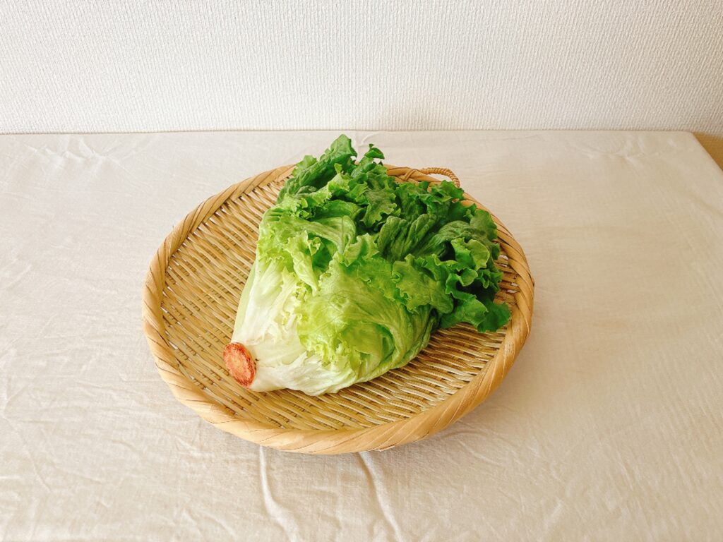 坂ノ途中の旬のお野菜セットMサイズで届いたリーフレタス(みどり)