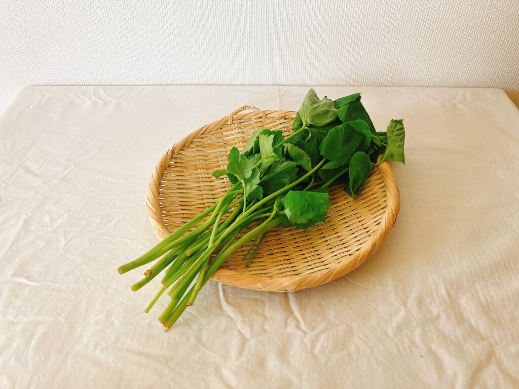 坂ノ途中の旬のお野菜セットMサイズで届いた三つ葉