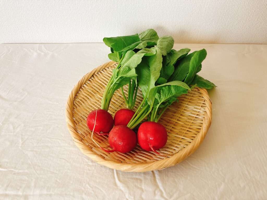 坂ノ途中の旬のお野菜セットMサイズで届いたラディッシュ