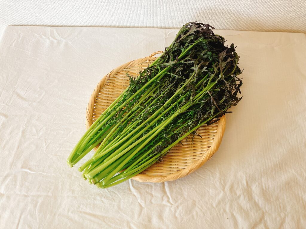 坂ノ途中の旬のお野菜セットMサイズで届いた赤サラダからし菜