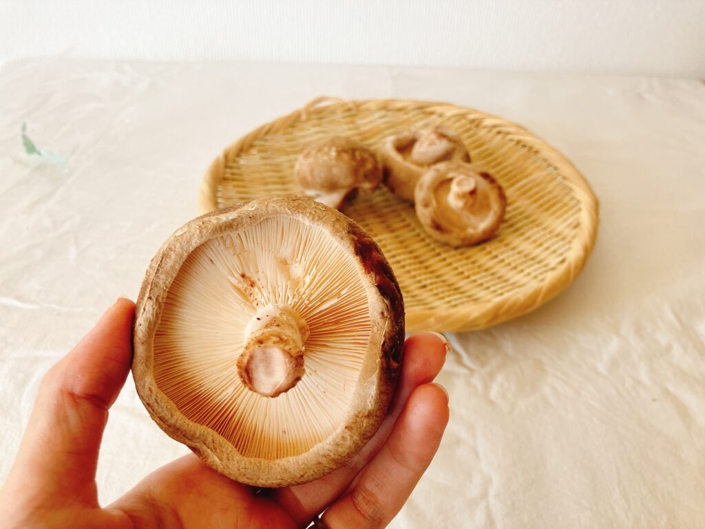 坂ノ途中の旬のお野菜セットMサイズで届いた菌床生しいたけ