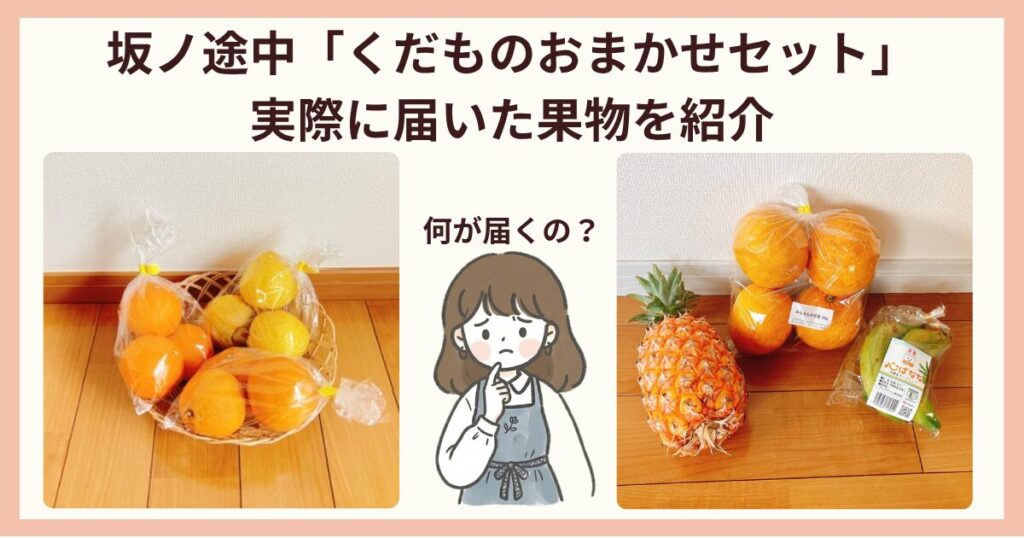 坂ノ途中のくだものおまかせセットは何が届く?