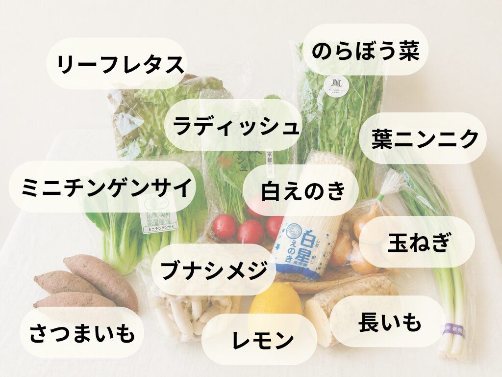 坂ノ途中の旬のお野菜セット3月に届いた野菜の中身