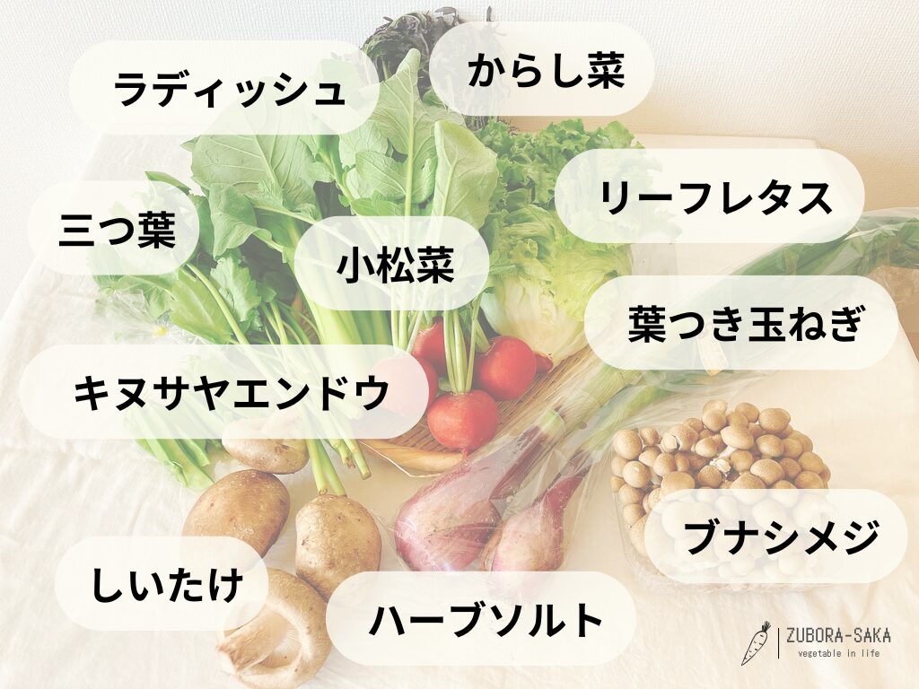 5月に届いた坂ノ途中の旬のお野菜セットの中身
