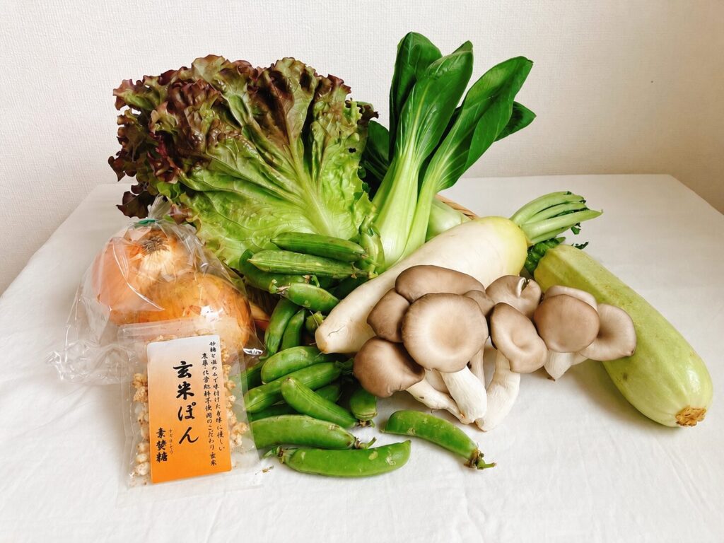 坂ノ途中から届いた旬の野菜セット(玉ねぎ・きのこ・枝豆など)