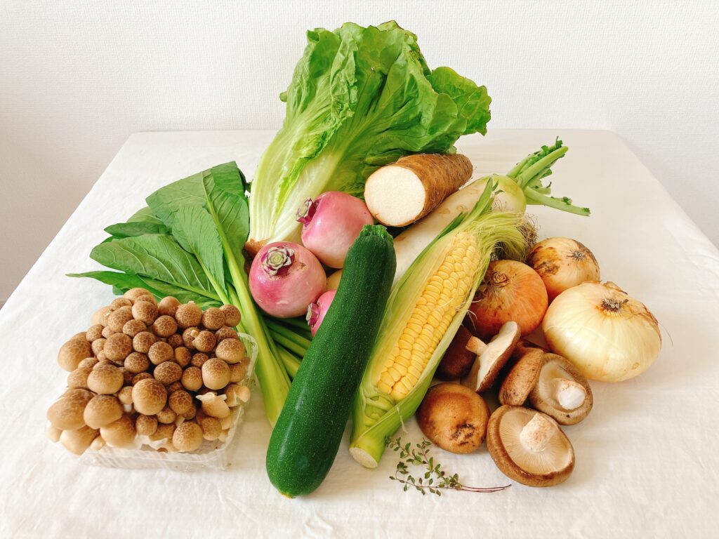坂ノ途中のきほんのお野菜セット6月に届いた野菜の中身