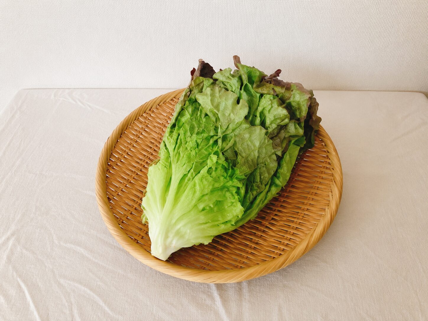 坂ノ途中の旬のお野菜セットに入っていたリーフレタス
