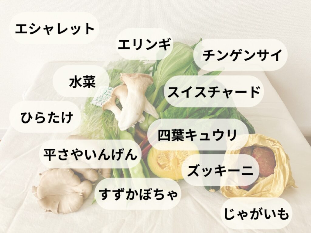 2026年7月の坂ノ途中「旬のお野菜セット」Mサイズの中身全11品(品名ラベルつき)