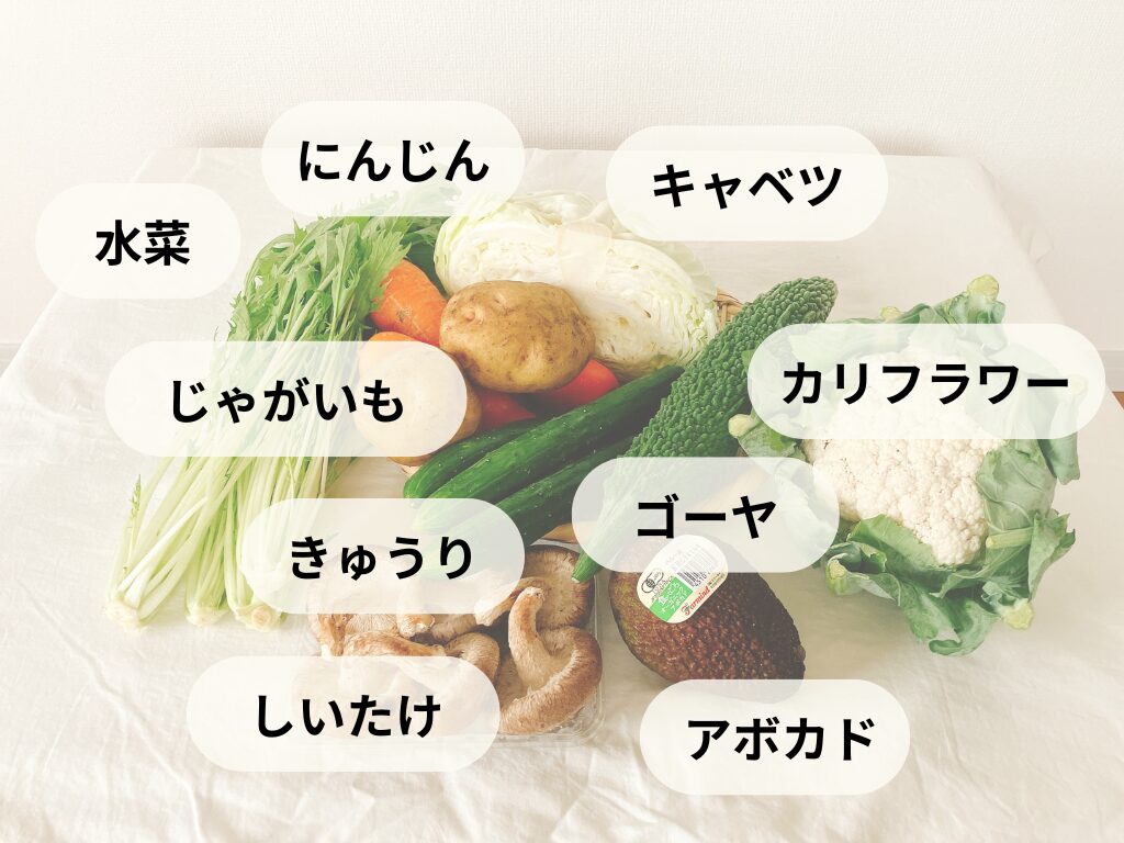 ビオマルシェのお試しセットで届いた野菜。キャベツ、じゃがいも、にんじん、きゅうり、アボカド、ゴーヤ、カリフラワー、しいたけ、水菜