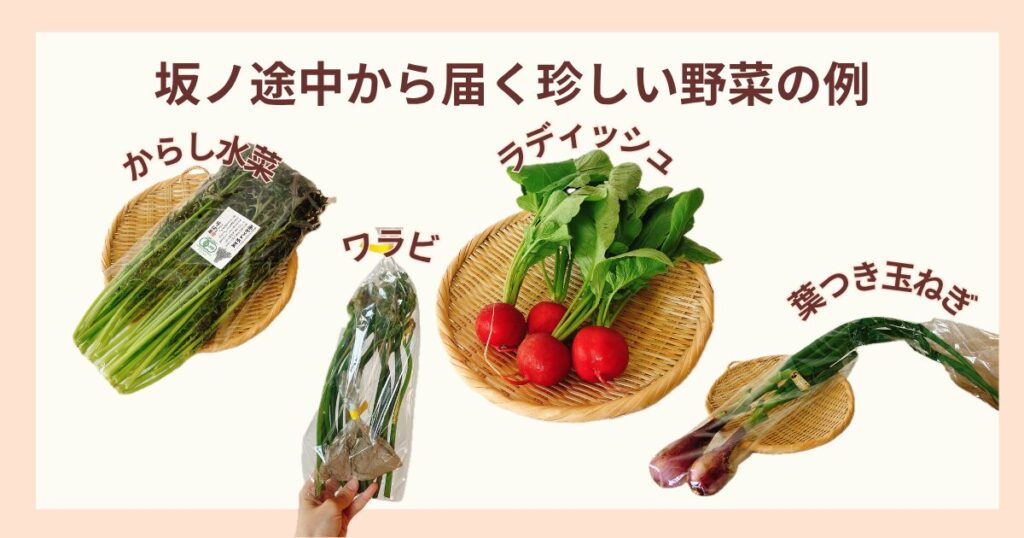 坂ノ途中から届く珍しい野菜の例