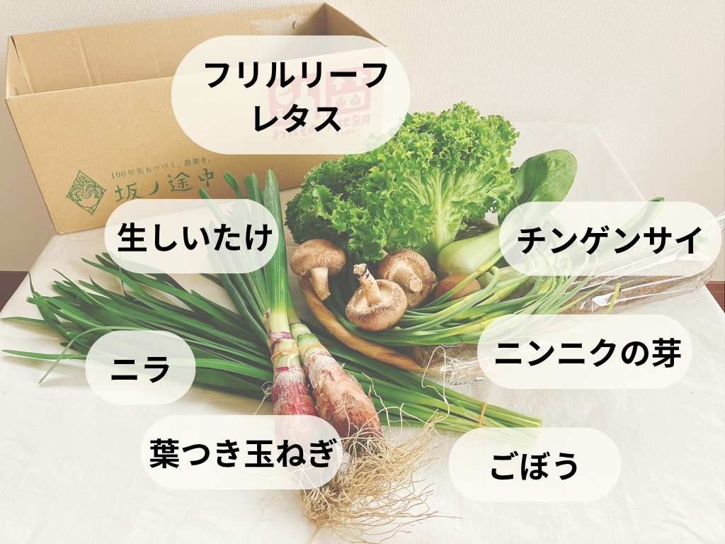 坂ノ途中の朝のセットの野菜の中身