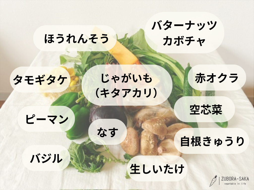 2026年9月に坂ノ途中から届いた旬のお野菜セットMサイズの中身