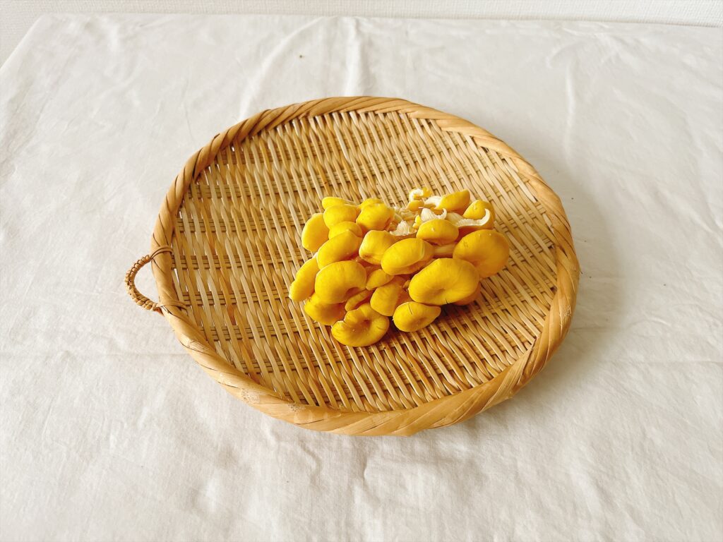 坂ノ途中のタモギタケ