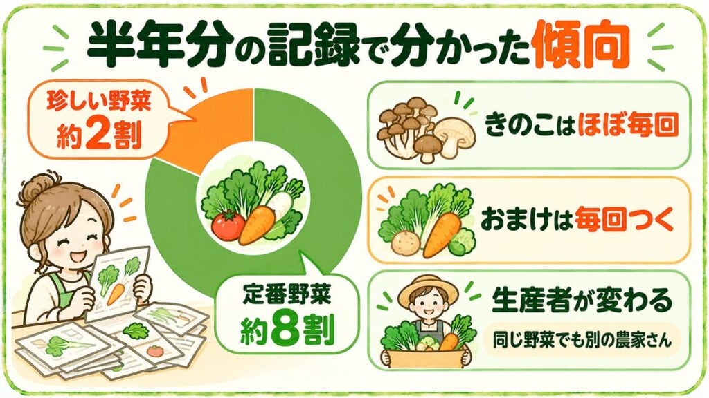 坂ノ途中Mサイズ半年分の記録から分かった傾向。定番野菜が約8割・珍しい野菜が約2割